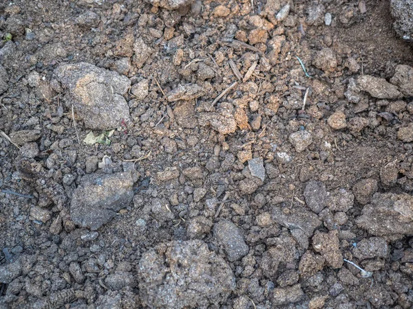 Textur von trockenem Humus in Nahaufnahme. Kulturboden, unbefestigter Boden, brauner Boden. Biolandbau, Gartenarbeit. Umweltstruktur, Muster. Schlamm auf dem Feld aus nächster Nähe — Stockfoto