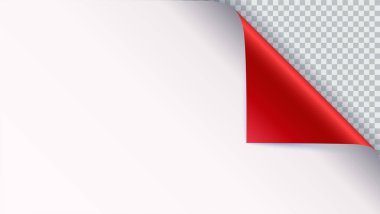 Sayfa curl boş kağıt üzerine gölge ile. Kıvrılmış vektör köşesinde beyaz kağıt gölge ile. Saydam arka plan üzerinde izole yakın çekim. Kağıt etiket, 3d çizim.