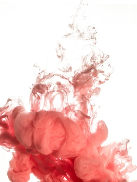 Remolino de tinta en agua aislada sobre fondo blanco. La pintura en el agua. Diseminación suave: gotitas de tinta rosa en el primer plano del agua. Fondo abstracto. Foco suave, telón de fondo borroso — Foto de Stock