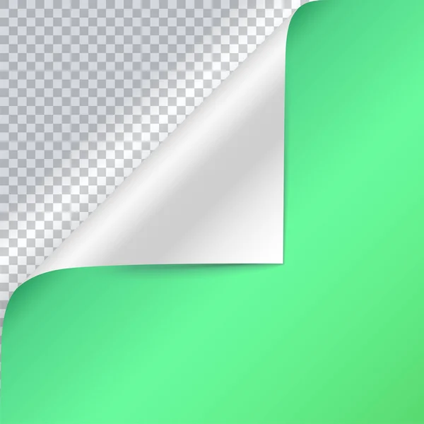 Διάνυσμα κατσαρά γωνία της Πράσινης Βίβλου. Σελίδα μπούκλα με σκιά σε κενό φύλλο χαρτιού. Γκρο πλαν, απομονώνονται σε διαφανές φόντο. Χαρτί αυτοκόλλητο, πλατεία 3d απεικόνιση. — Διανυσματικό Αρχείο