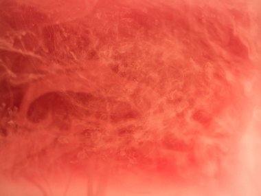 Soyut arka plan renkli. Pembe duman, su, evrenin şekillerinin mürekkeple. Soyut hareket, çok renkli boya akışının donmuş. Yumuşak odak, bulanık zemin ile yatay fotoğraf