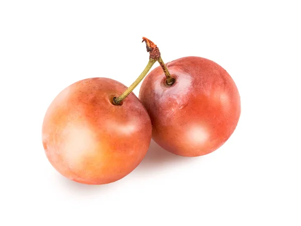 Dos ciruelas de cereza con cola verde, primer plano, aisladas sobre fondo blanco. Bayas maduras retocadas de ciruelas . — Foto de Stock