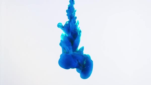 Modrý inkoust rozpustí ve vodě k vytvoření abstraktní tvarů, detail. Tok inkoustu ve vodě na bílém pozadí — Stock video