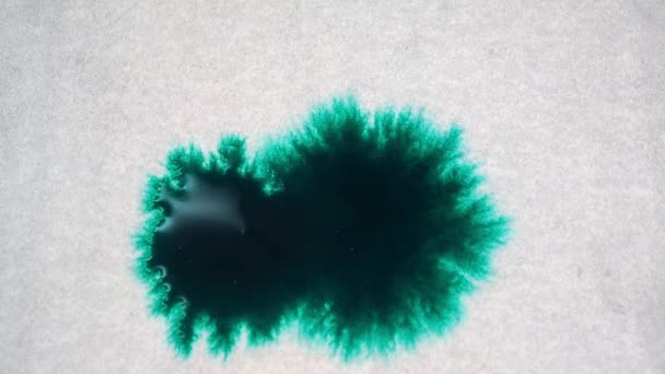 Lusciose gocce di inchiostro verde cadono e si distribuiscono su carta bagnata. Inchiostro verde su superficie bianca. Gocce di inchiostro cadono e si diffondono su sfondo strutturato, vista da vicino . — Video Stock