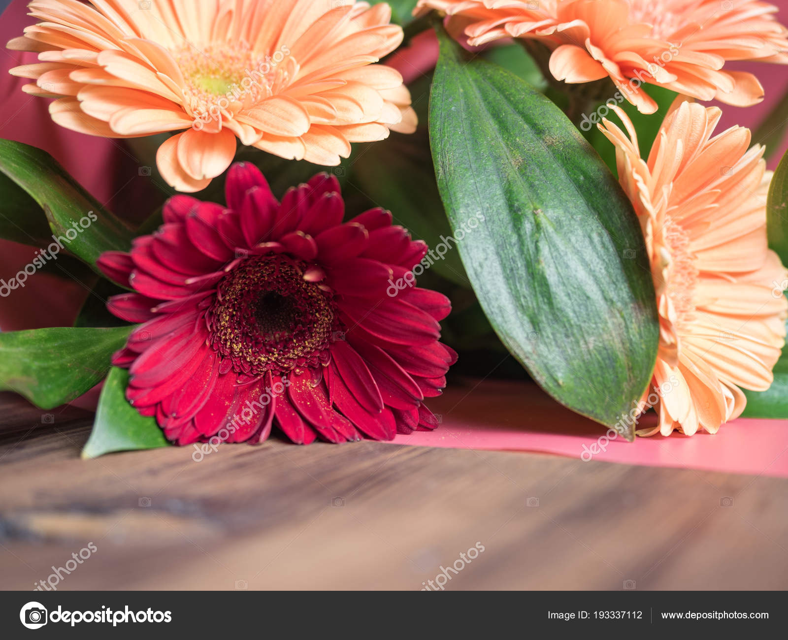 Bouquet De Chrysanthèmes Plantes Décoratives Marguerites