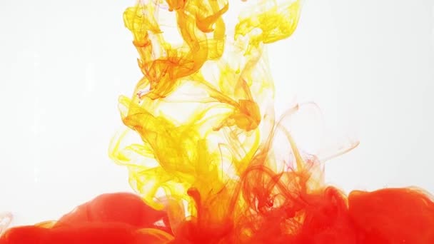 Acrylfarbe bewegt sich in Wasser auf weißem Hintergrund. Rote und gelbe Farbe wirbeln im Wasser und schaffen abstrakte Wolken. 60fps, HD-Format. Spuren bunter Tinte, die sich in Wasser auflöst, sich ständig in Form ändert — Stockvideo
