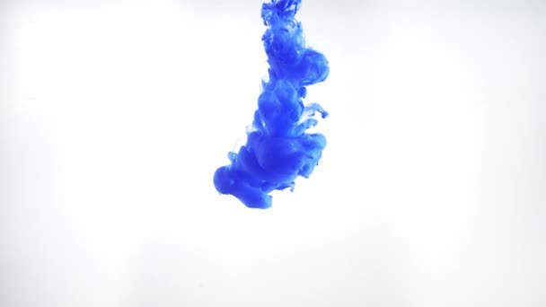 Inchiostro blu che si muove in acqua su sfondo bianco. Inchiostro acrilico vorticoso in acqua. Girato a 60fps, formato HD. Tracce di nuvole colorate astratte di vernice che si dissolvono in acqua, cambiando sempre forma — Video Stock