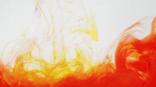 Peinture acrylique rouge et jaune se déplaçant dans l'eau sur fond blanc. Encre tourbillonnant dans l'eau créant des nuages abstraits. Traces d'encre colorée se dissolvant dans l'eau, changeant constamment de forme. 60fps, format HD . — Video