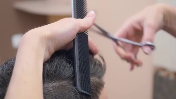 Masters hands cutting clients hair with scissor and comb., close shot. Recorded in hairdressing saloon. Selective soft focus. Blurred background. — Stock Video