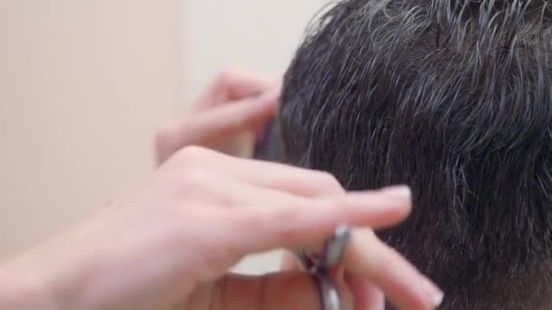 Процесс стрижки волос, записанный в парикмахерской, близкий выстрел. Стилист стрижет волосы ножницами и расческой. Мастер на работе. Селективный мягкий фокус. Размытый фон . — стоковое видео