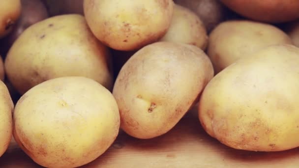 Panning shot along organic potato lying on old wooden planks. Dolly camera move, slowly sliding shot along potatoes is lying in bulk. Rustic vegetables from farmhouse field. — Stock Video