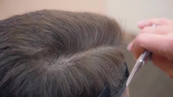 Master cutting hair with black comb and scissor, close shot. Male in hairdressing saloon. Males hairdo close up. Selective soft focus. Blurred background. — Stock Video