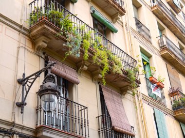 Barselona, İspanya - Ağustos 2019: şehir merkezinde bej bina, orta manzara. Siyah parmaklıklı yeşil bitkiler balkonda. Duvarda klasik ışıklandırma. Seçici yumuşak odaklanma. Bulanık arkaplan.