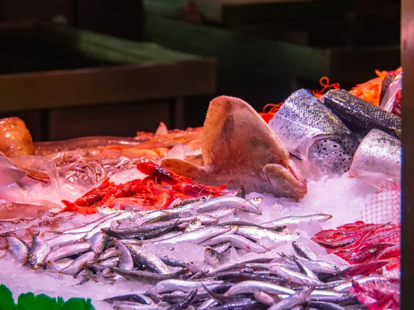 Different kinds of frozen fish and seafood in market ice box, medium view. Sea foods background. Selective soft focus. Blurred background.