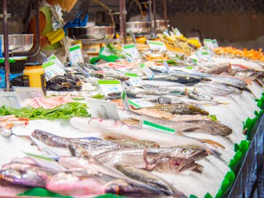 Farklı türde donmuş deniz ürünleri ve balıklarla dolu bir buz kutusu, orta boy. Deniz ürünleri geçmişi. Seçici yumuşak odaklanma. Bulanık arkaplan.