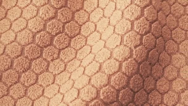 Brown ornamented fabric, close shot. Dolly shot of knitted fabric with abstract pattern. Brown diaper texture, abstract background. — Stock Video