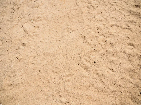 Sandy beach, top view. Texture of sand with track of legs. Close up photo of sand on tropical beach. Background for travel and vacation. — Stock Photo, Image
