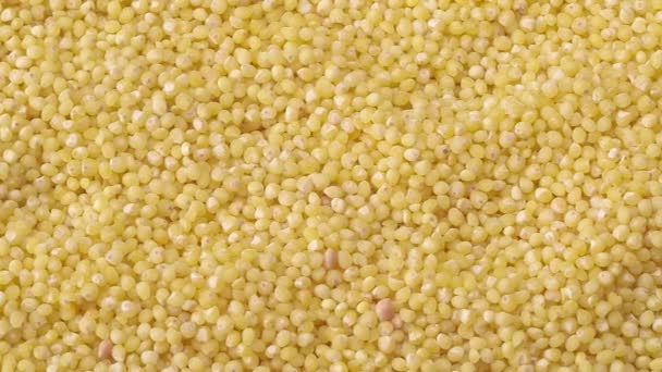 Bico de milho seco, perto do tiro. Dolly tiro a granel de grãos de milho. Vista de perto sobre milho amarelo milho, fundo abstrato . — Vídeo de Stock