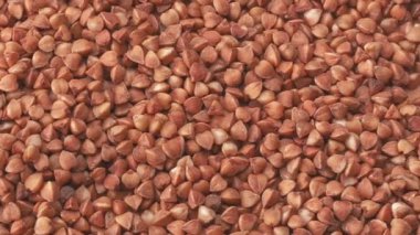 Pişmemiş karabuğday yığını, yakın çekim. Karabuğday taneciklerinin dokusundan Dolly shot. Karabuğday tanelerini kapat, soyut arkaplan.