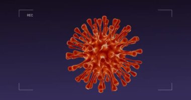 Mikroskop altında virüs bakterisi. Coronavirus COVID-19 enfeksiyonu. Virüs patojeni hücresi taşınıyor. Solunum gribi 2019-NCov. Gerçekçi 3 boyutlu animasyon. Arıza efektli kusursuz döngü.