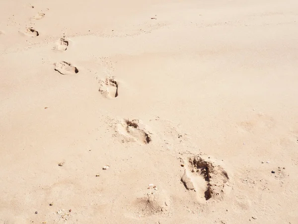 Passi umani su sabbia gialla, vista da vicino. Fotografato in spiaggia egiziana a febbraio. Concentrazione selettiva morbida. Sfondo sfocato . — Foto Stock