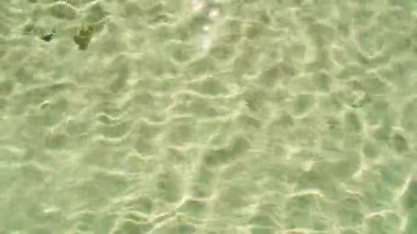 Ondulation de la surface de l'eau, plan rapproché. Fond vert abstrait. Eau de mer transparente sur la plage égyptienne. Photographié à Hurghada en février. Fond flou . — Video