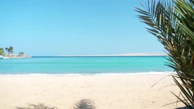 Kızıl Deniz dalgaları kumlu sahilde akıyor, çok geniş açıyla. Rüzgarda sallanan yeşil palmiye dalı. Şubatta Hurghada 'da çekilmiş. Seçici yumuşak odaklanma. Bulanık arkaplan.