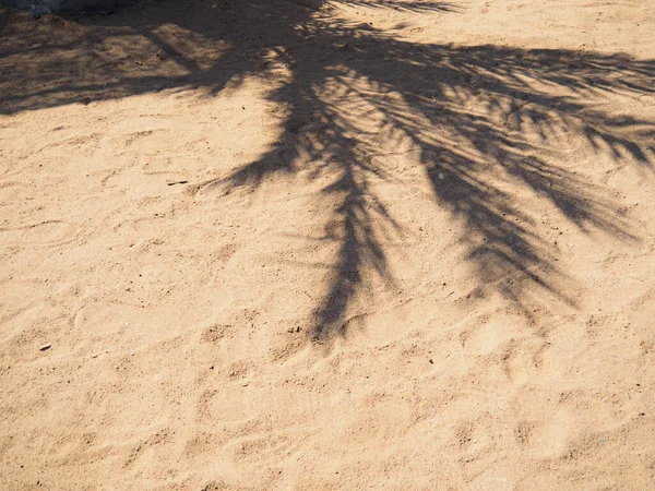 Palmenschatten auf braunem Sand, Nahsicht. Abstrakter Hintergrund. Ägyptischer Strand im Februar, Rotes Meer. Selektiver weicher Fokus. Unklarer Hintergrund. — Stockfoto