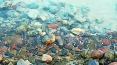 Şeffaf deniz suyu ve çok renkli deniz kalıntıları, yakın çekim. Soyut doğa geçmişi. Hurghada 'da çekilmiş, Kızıl Deniz plajı. Seçici yumuşak odaklanma. Bulanık arkaplan.
