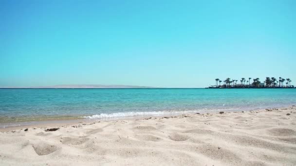 Αιγυπτιακή παραλία τον Φεβρουάριο, πολύ μακριά. Πράσινοι φοίνικες στον ορίζοντα. Μπλε ουρανός είναι σαφής. Χαμηλά κύματα στην κίτρινη άμμο. Επιλεκτική μαλακή εστίαση. Θολή φόντο. — Αρχείο Βίντεο
