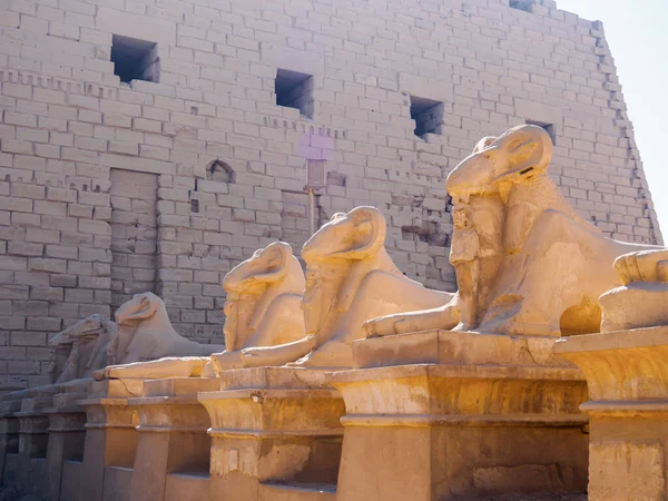Reihe von antiken Skulpturen von Criosphinx in der Nähe der Ziegelmauer, mittlere Ansicht. Fotografiert in Luxor, Ägypten. Antike Statuen. Selektiver weicher Fokus. Unklarer Hintergrund. — Stockfoto