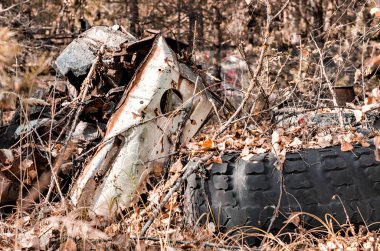 Çernobil 'deki ormana ekipman yığını