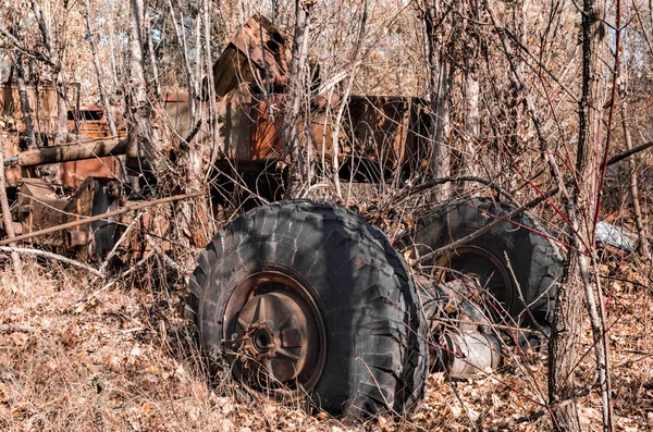 Parte de un coche viejo en el bosque en Chernobyl — Foto de Stock