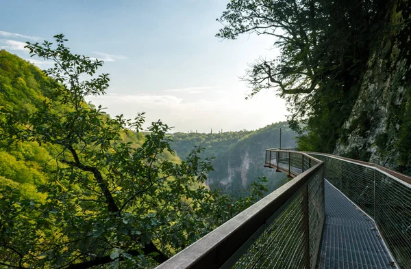 Schorsing metalen brug in canyon in Georgië tussen groene bomen — Stockfoto