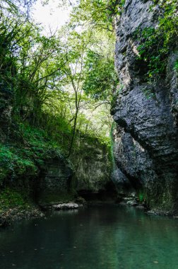 Gürcistan 'da bir kanyonda yüksek uçurumları ve yeşil bitkileri olan dağ nehri.