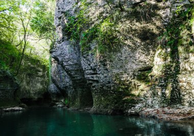 Gürcistan 'da bir kanyonda yüksek uçurumları ve yeşil bitkileri olan dağ nehri.