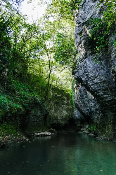 Gebirgsfluss mit hohen Klippen und grünen Pflanzen in einer Schlucht in Georgien — Stockfoto