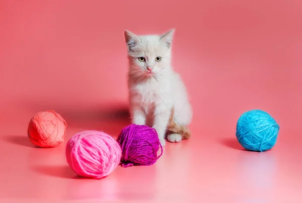 粉红背景的多色毛线小猫咪 — 图库照片