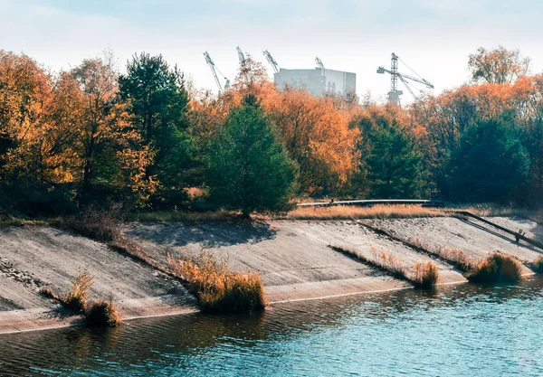 Bosque de Chernóbil y central nuclear en Ucrania — Foto de Stock