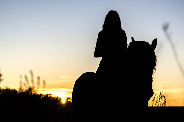 Silhouette di una cavallerizza dai capelli lunghi su sfondo tramonto — Foto Stock
