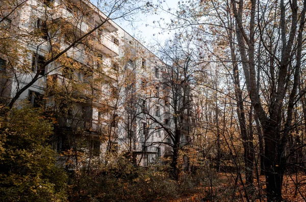 Övergivet hus bland träden i Tjernobyl — Stockfoto