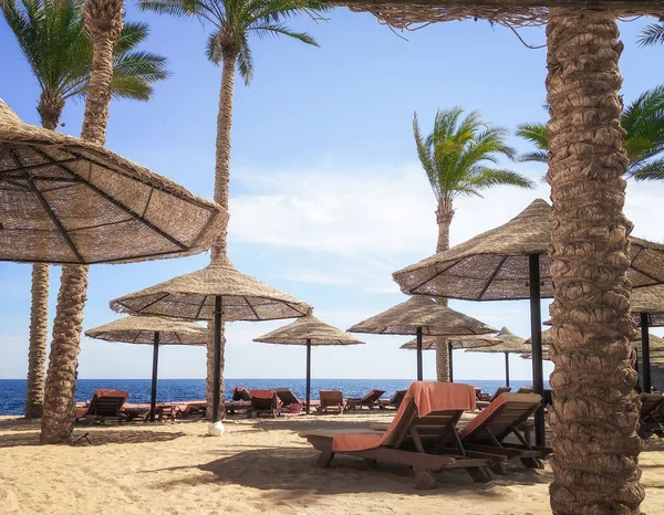 Playa turística sin personas con palmeras y sombrillas de madera en Egipto — Foto de Stock