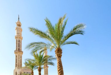 Sharm El Sheikh 'te açık mavi gökyüzüne karşı cami ve yeşil palmiye ağaçları.