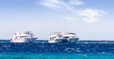 Sharm El Sheikh 'teki Kızıl Deniz' de üç beyaz zevk gemisi.