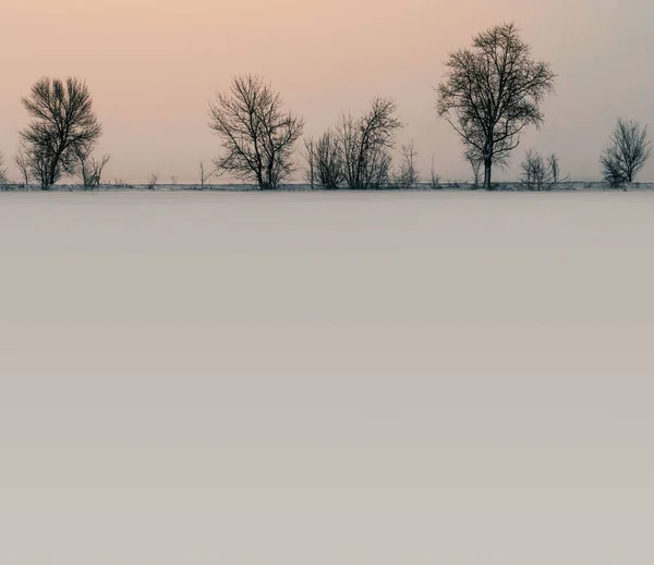 Inverno Neve Paisagem Chão Árvores Sem Folhas — Fotografia de Stock