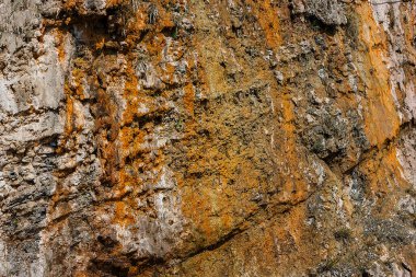 Deniz kıyısındaki güzel uçurum dokusu