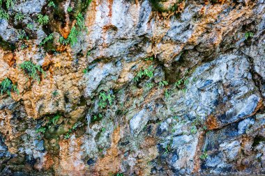 Deniz kıyısındaki güzel uçurum dokusu