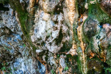 Yeşil yosun kaplı kaya