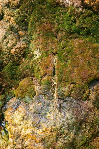 Rocha Coberta Com Musgo Verde — Fotografia de Stock