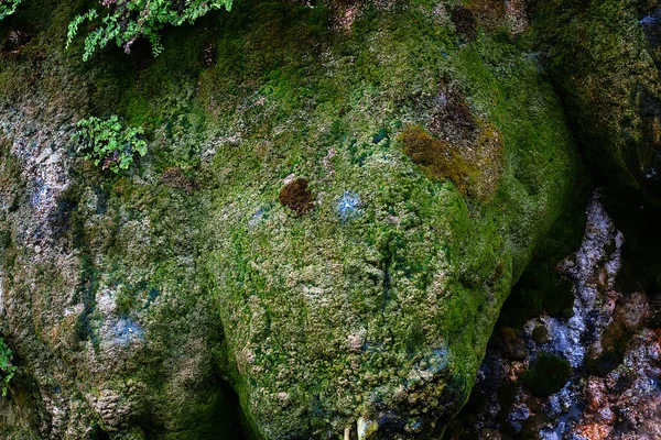 Rocha Coberta Com Musgo Verde — Fotografia de Stock